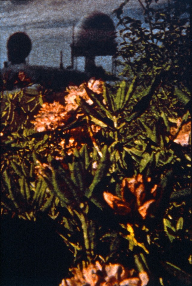 Oliver Wasow, Domes and Flowers
1989, Cibachrome