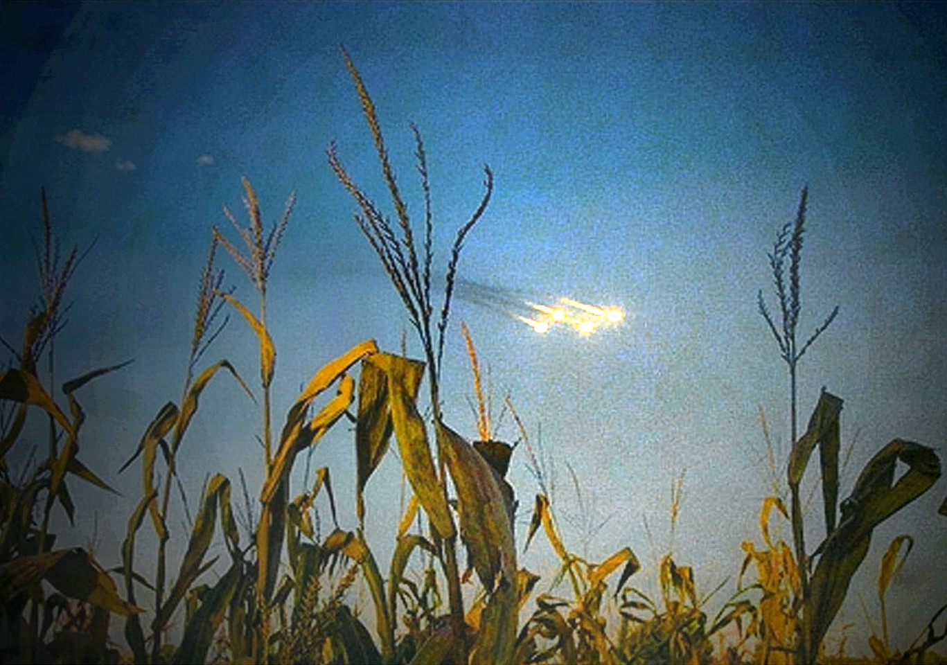 Oliver Wasow, Field and Lights
2009, Archival inkjet