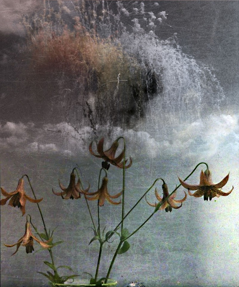 Oliver Wasow, Flowers and Fireworks
2012, Archival inkjet