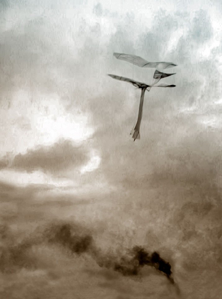 Oliver Wasow, Smoke and Wings
2008, Archival inkjet